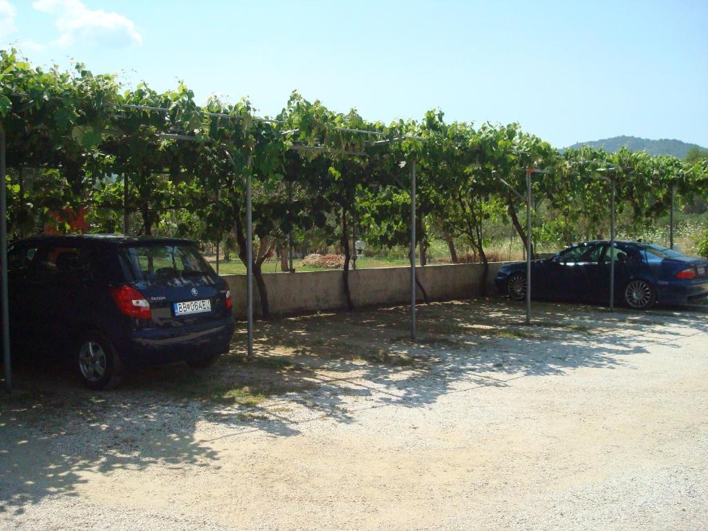 Villa Tonia Apartments Sarti Exterior photo